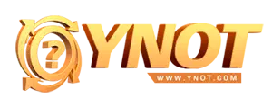 ynot.com