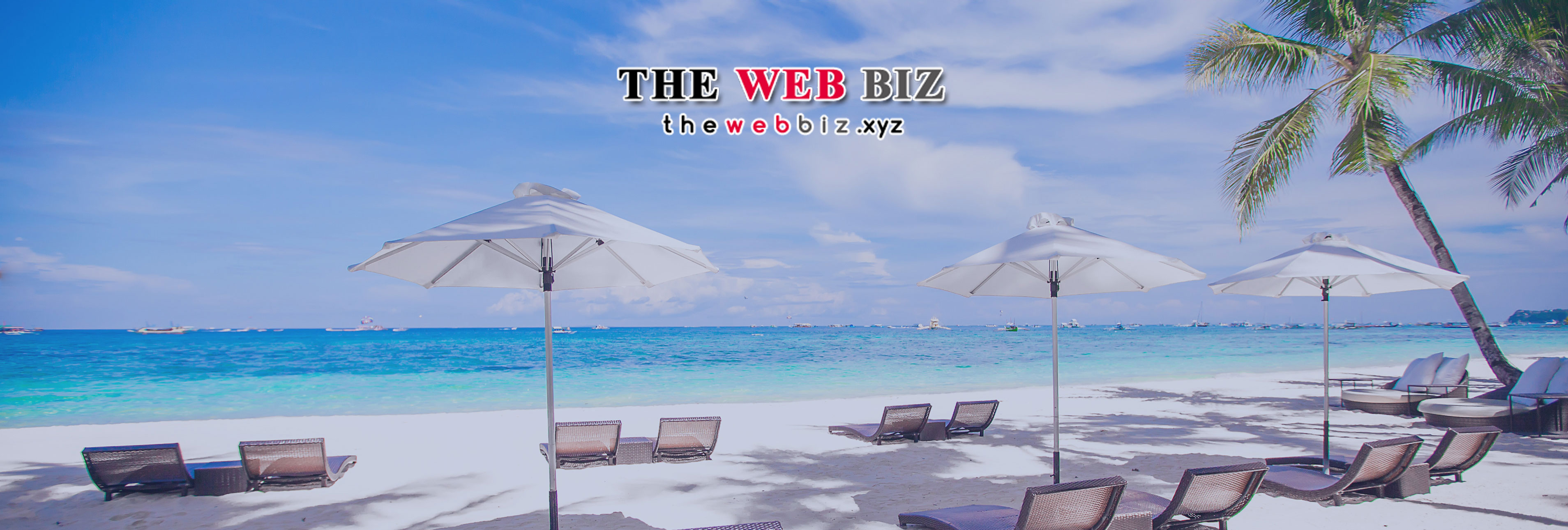 THE WEB BIZ
